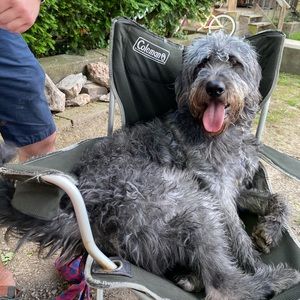 Meet your Posher, Chase